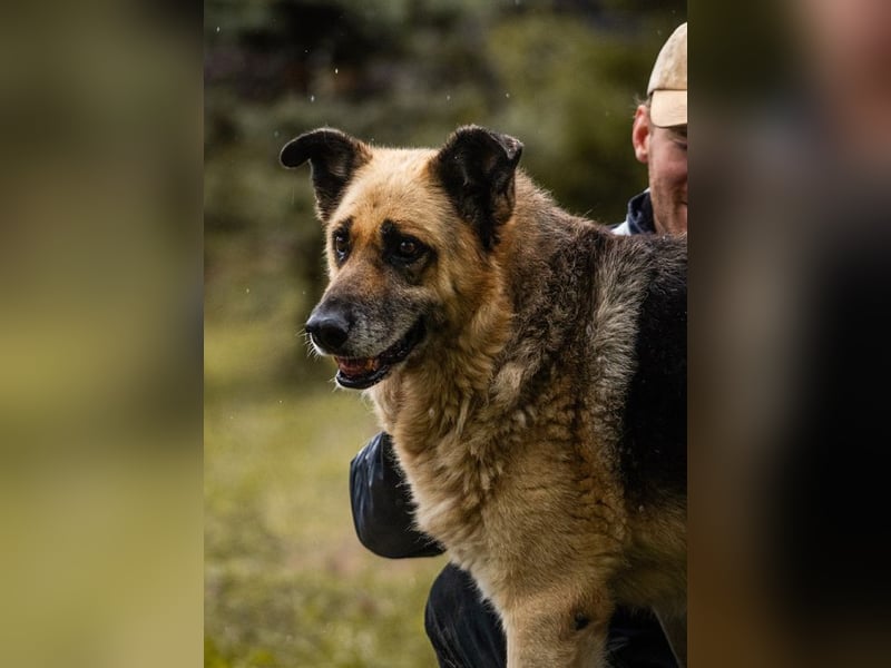 Chiku: Entspannt, entspannter, Chiku