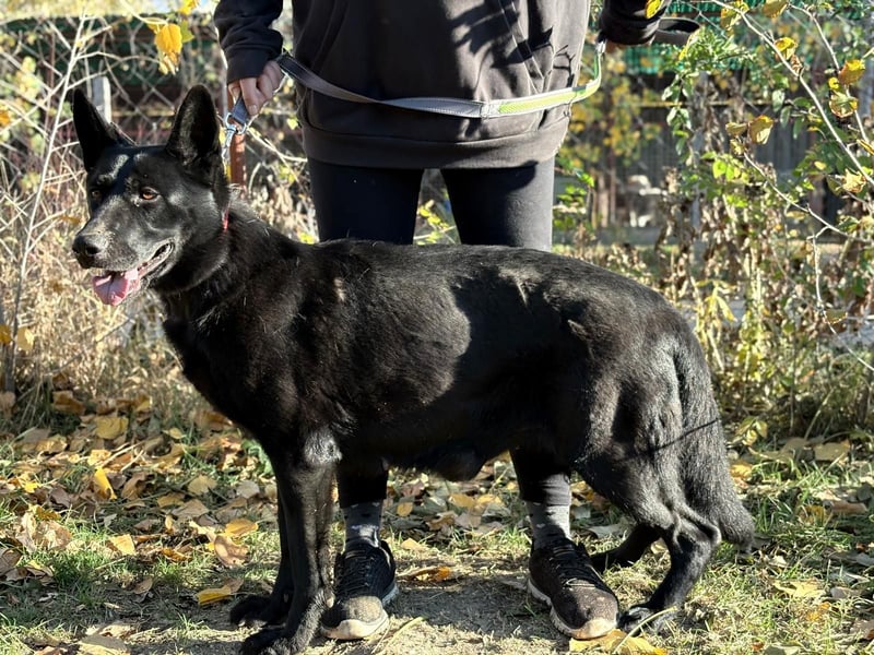 Elza möchte endlich dazugehören