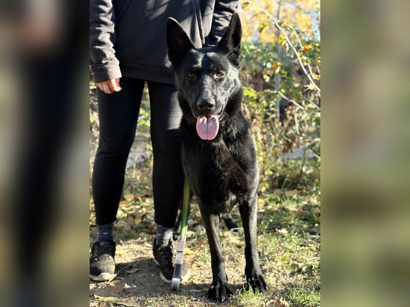 Elza möchte endlich dazugehören