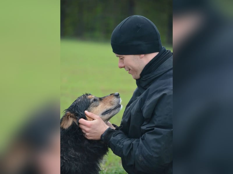 RESERV.-„Stefan“, ein sehr treuer Freund für’s Leben. Sehr treu, lieb, sanft, ruhig und verschmust.