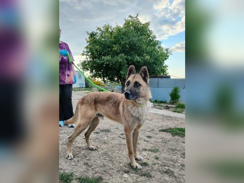 Ron, warum fragt keiner nach mir …