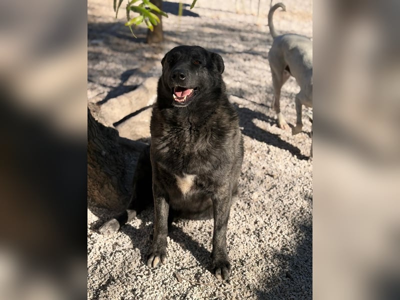 Judit, freundliche Strahlemaus sucht ihren Herzensmensch