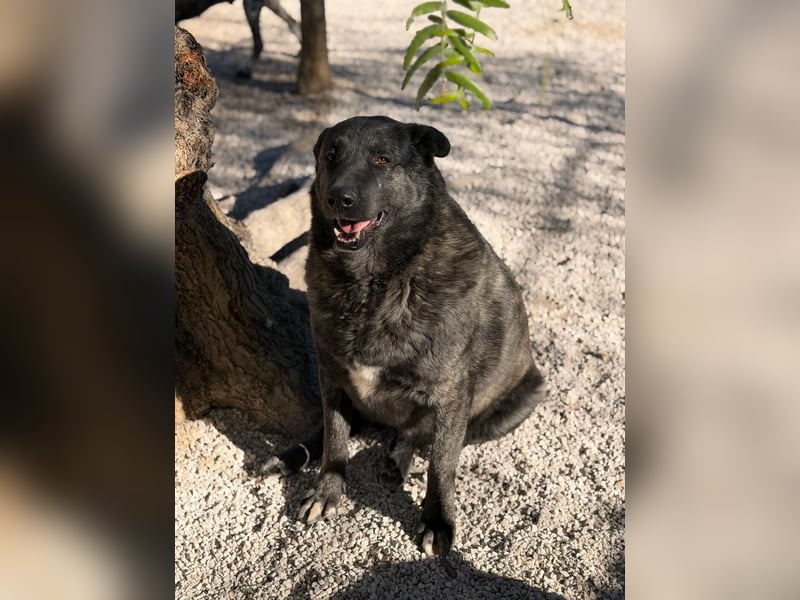 Judit, freundliche Strahlemaus sucht ihren Herzensmensch