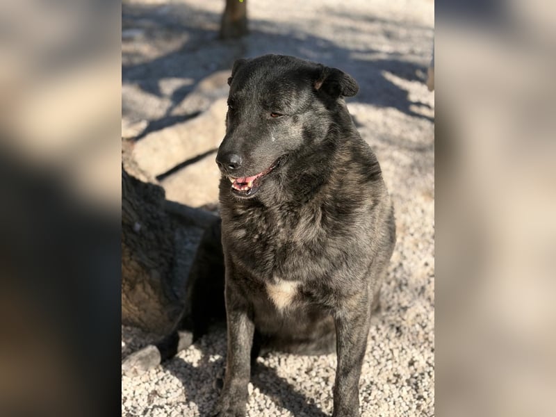 Judit, freundliche Strahlemaus sucht ihren Herzensmensch