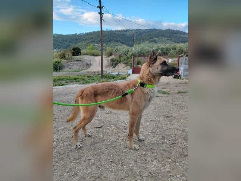 Ron, warum fragt keiner nach mir …