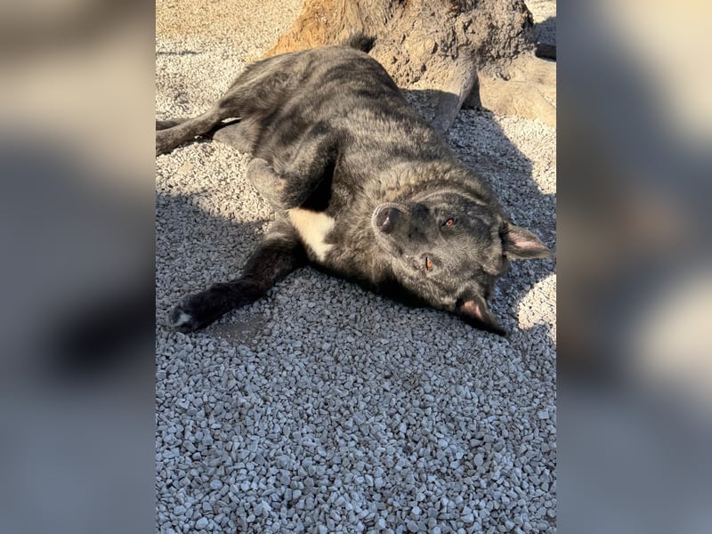 Judit, freundliche Strahlemaus sucht ihren Herzensmensch