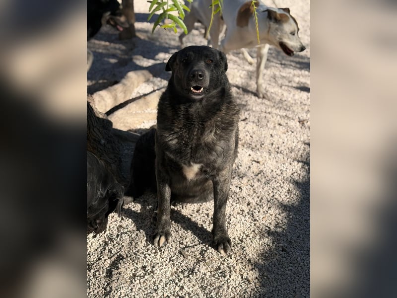 Judit, freundliche Strahlemaus sucht ihren Herzensmensch