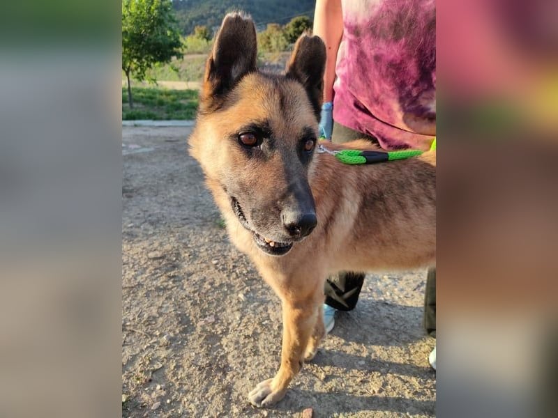 Ron, warum fragt keiner nach mir …