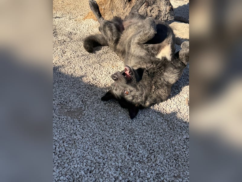 Judit, freundliche Strahlemaus sucht ihren Herzensmensch