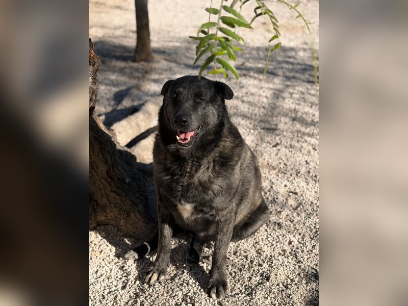 Judit, freundliche Strahlemaus sucht ihren Herzensmensch