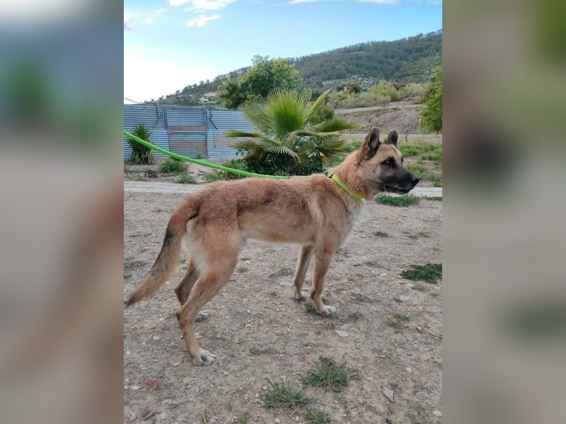 Ron, warum fragt keiner nach mir …