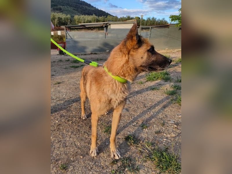 Ron, warum fragt keiner nach mir …