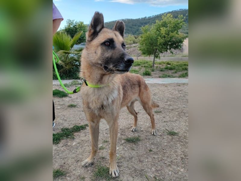 Ron, warum fragt keiner nach mir …