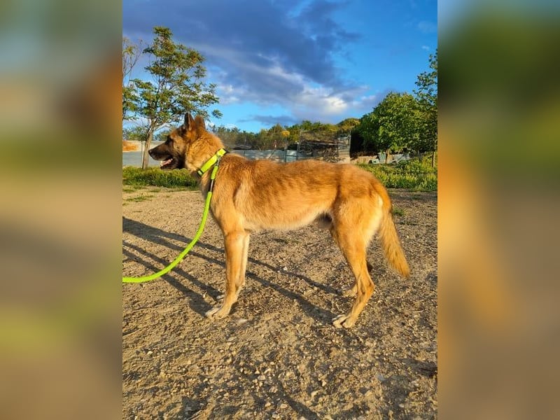 Ron, warum fragt keiner nach mir …