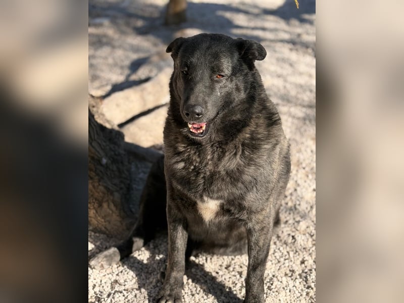 Judit, freundliche Strahlemaus sucht ihren Herzensmensch