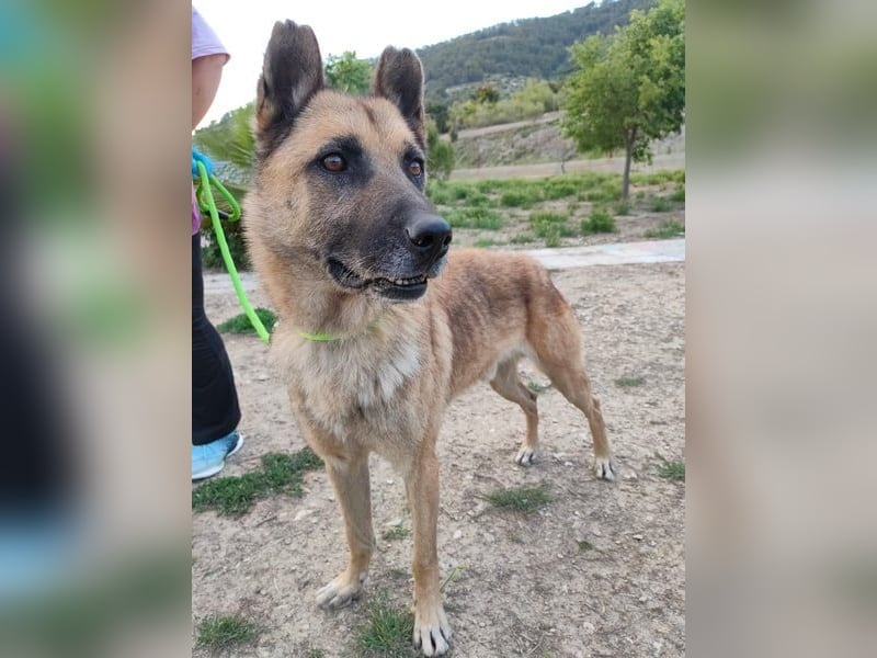 Ron, warum fragt keiner nach mir …