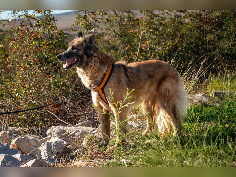 Wilma - Sonnenschein sucht Familie mit Herz