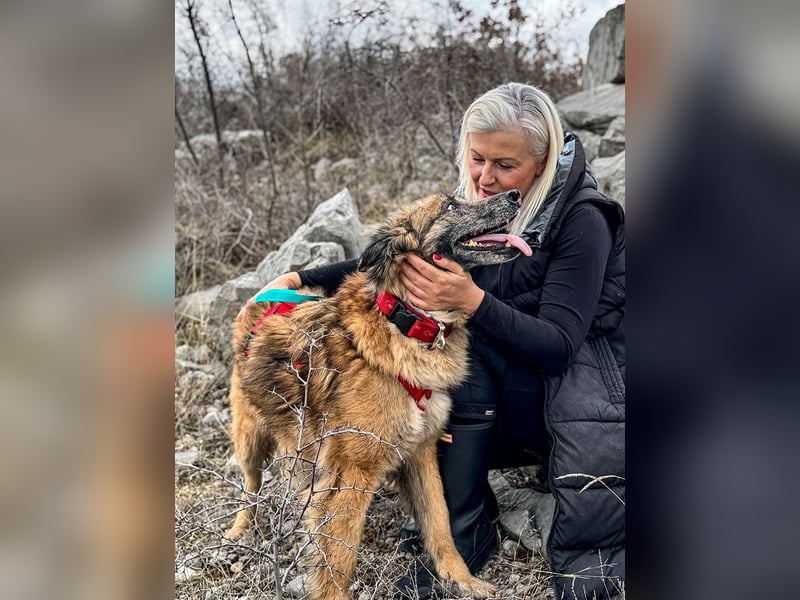 Wilma - Sonnenschein sucht Familie mit Herz