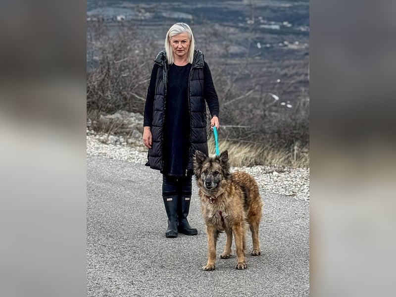 Wilma - Sonnenschein sucht Familie mit Herz