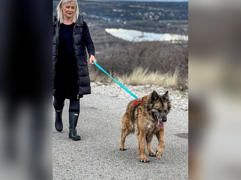 Wilma - Sonnenschein sucht Familie mit Herz