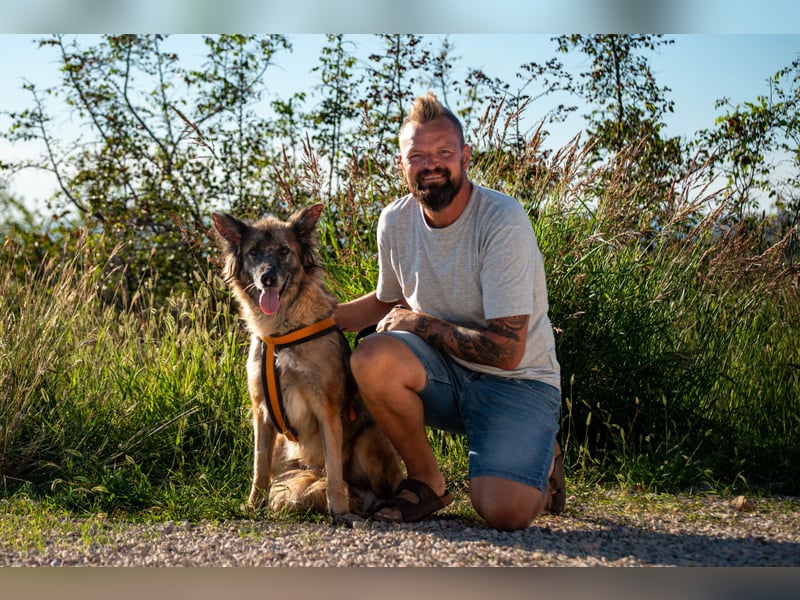 Wilma - Sonnenschein sucht Familie mit Herz