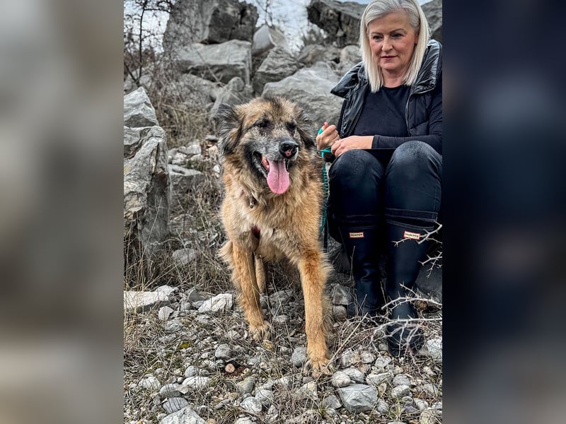 Wilma - Sonnenschein sucht Familie mit Herz