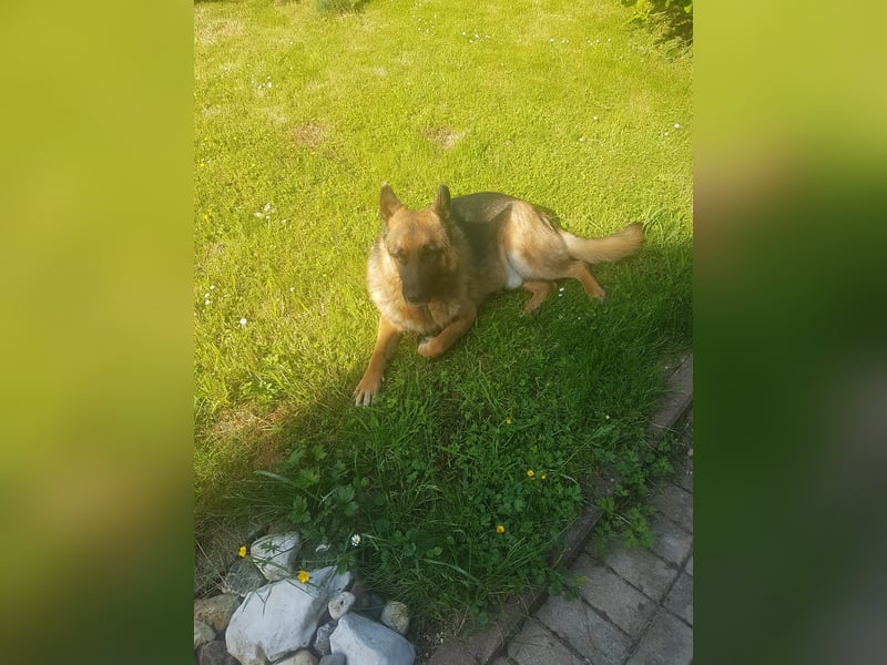 ASTOR ist bereits in Deutschland. Zum Kennenlernen können Sie ihn gerne besuchen.