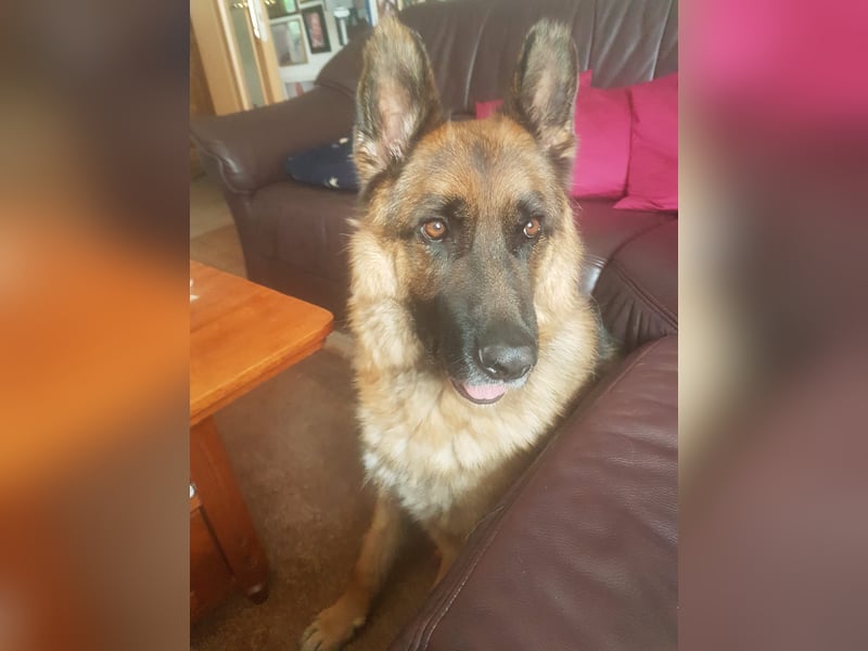ASTOR ist bereits in Deutschland. Zum Kennenlernen können Sie ihn gerne besuchen.