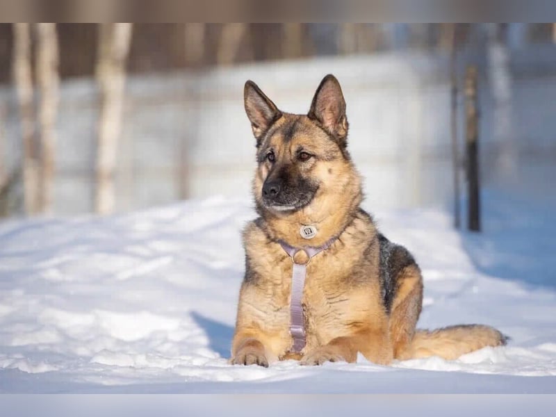 Menschenbezogene Lima sucht ihre Familie