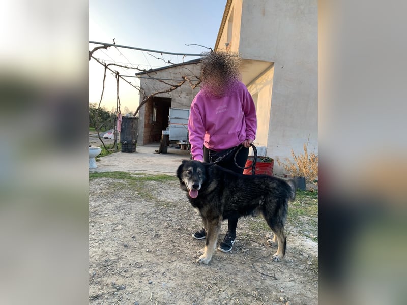 THAI - auf Pflege in 46414 Rhede