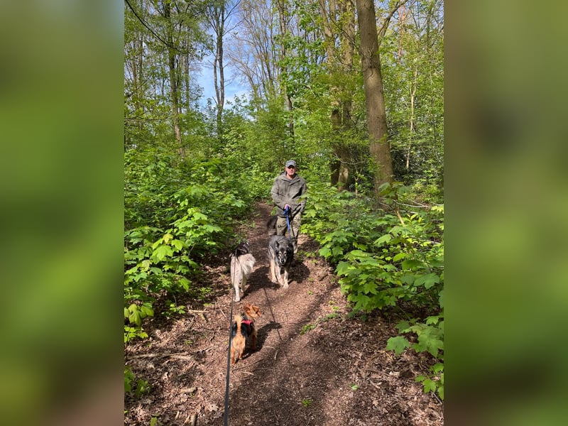 THAI - auf Pflege in 46414 Rhede