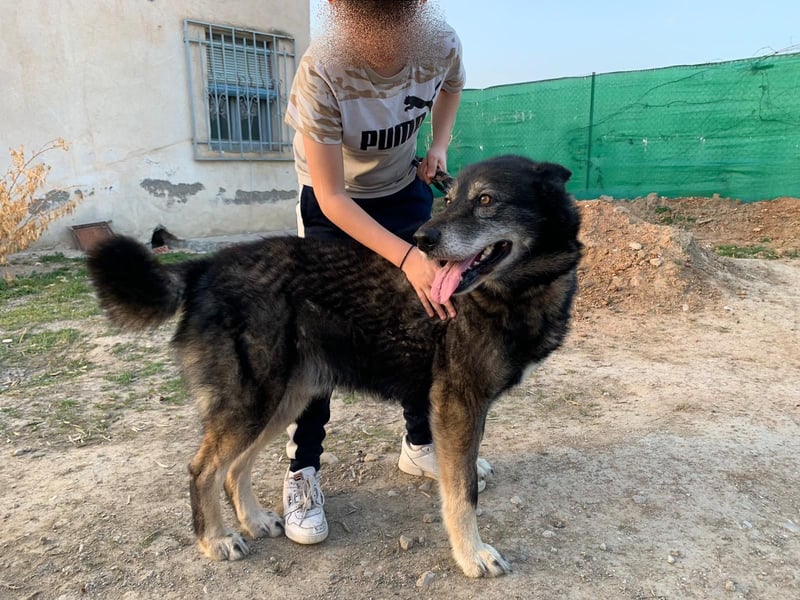 THAI - auf Pflege in 46414 Rhede