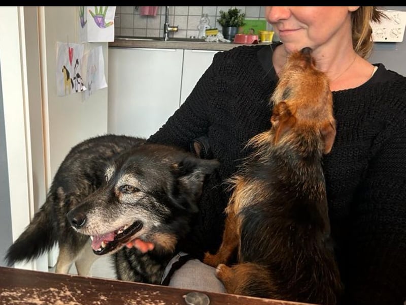 THAI - auf Pflege in 46414 Rhede