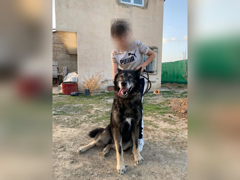 THAI - auf Pflege in 46414 Rhede