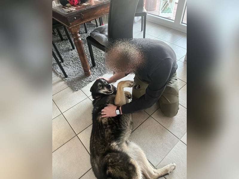 THAI - auf Pflege in 46414 Rhede