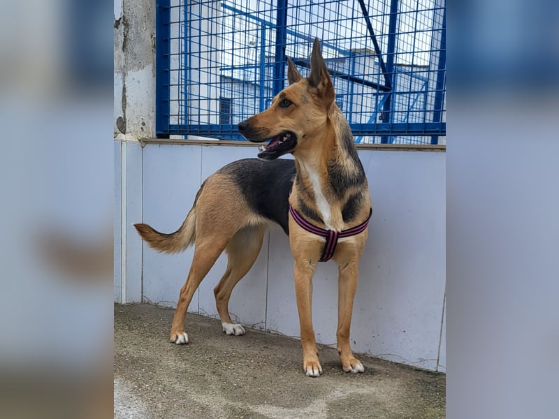 ❤️ PERLA
