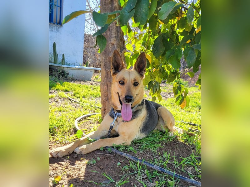 ❤️ PERLA