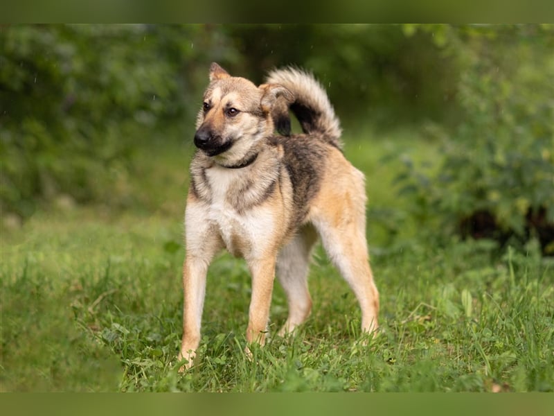 MARTINA- zurückhaltendes Mädchen sucht liebevolle Familie