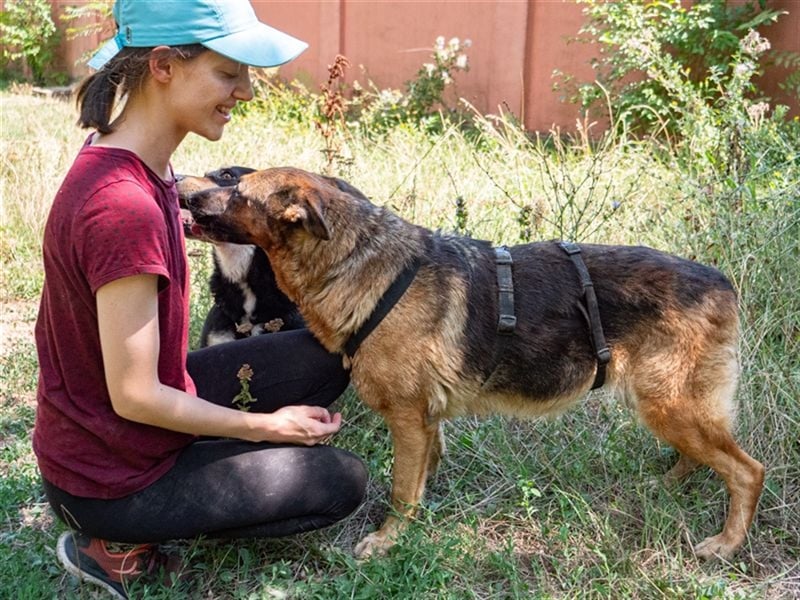 ASTRID- lieb, ruhig, sensibel, ausgeglichen, traurig, sucht liebevolle Familie