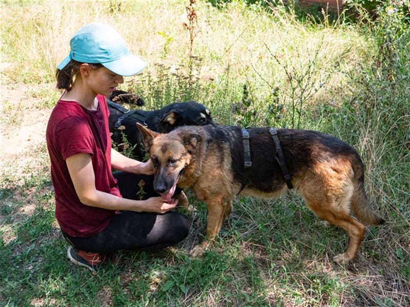 ASTRID- lieb, ruhig, sensibel, ausgeglichen, traurig, sucht liebevolle Familie