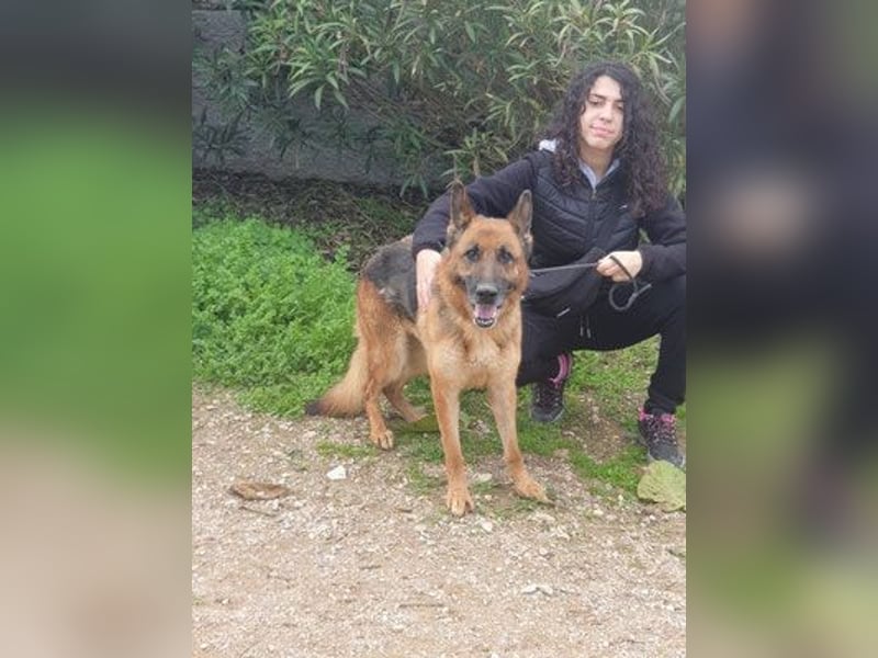 MIA (W)-intelligent, aufmerksam, liebenswürdig, will gefallen