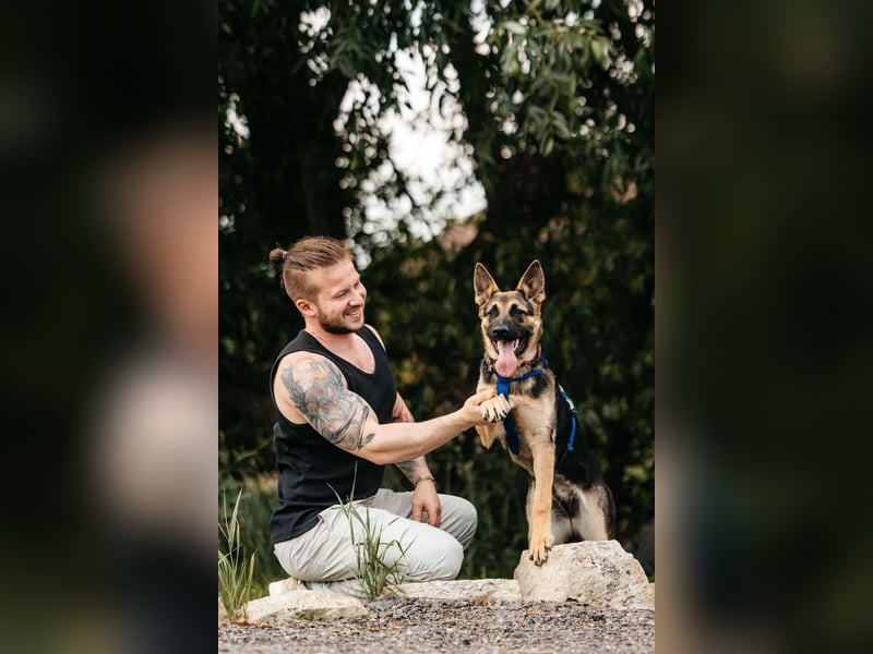 Verspielte Samantha sucht ihre Familie