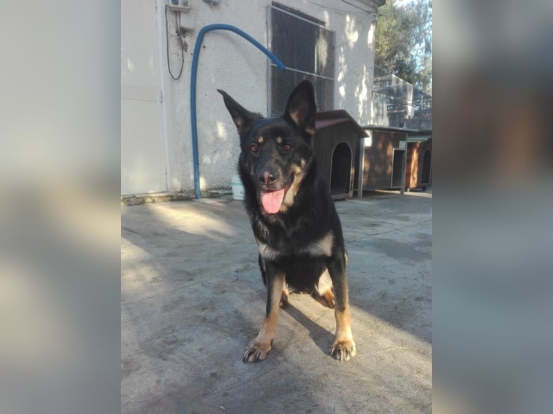 Athena - gibst Du mir eine Chance ?
