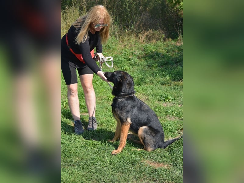 "Bonny"- Aktive Hündin, ca. 2022 geboren, sehr lieb, menschenbezogen und anhänglich