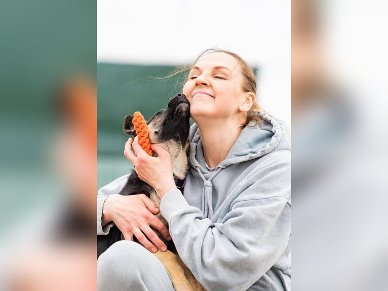 Verspielte Samantha sucht ihre Familie