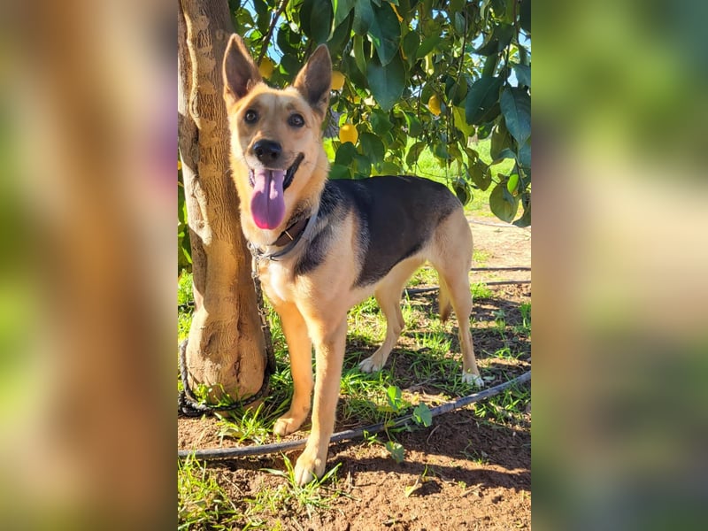 Perla, sucht ihre Familie