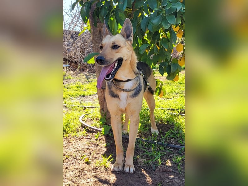 Perla, sucht ihre Familie