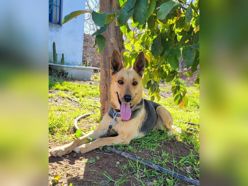 Perla, sucht ihre Familie