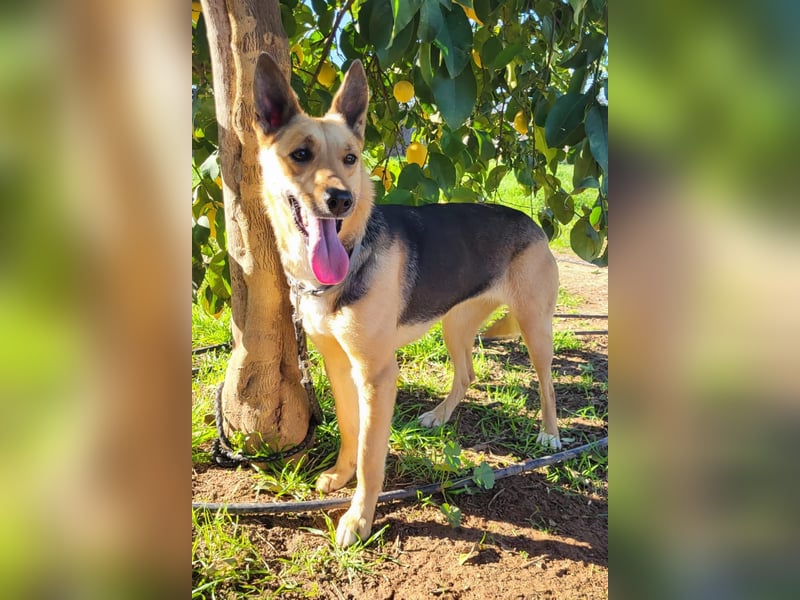 Perla, sucht ihre Familie