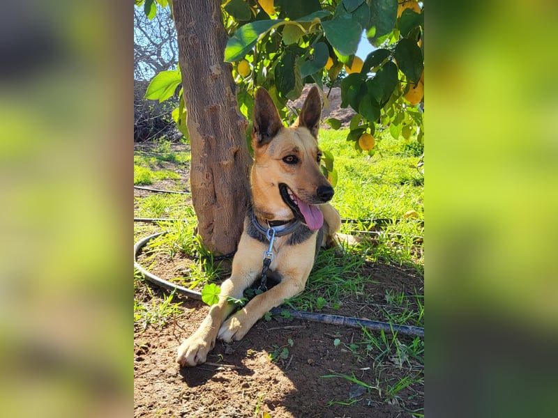 Perla, sucht ihre Familie
